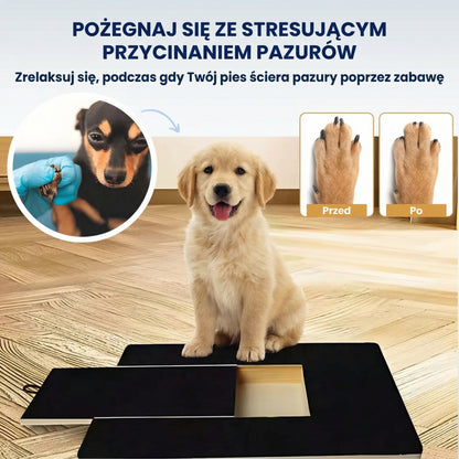 Bezstresowe obcinanie pazurów – deska dla psa